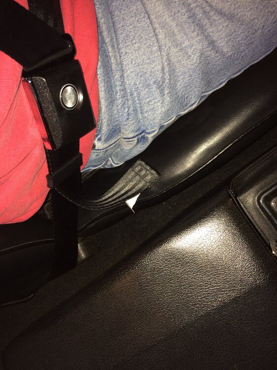 SD 3-PT Seat Belt Set 2.JPG